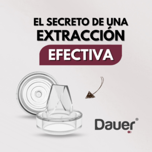 Cuándo Cambiar Repuestos del Extractor